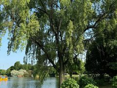 -上海共青森林公园