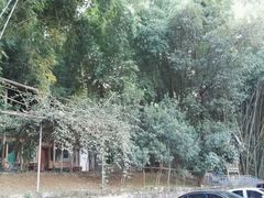 android_upload_pic-杨二傣香园