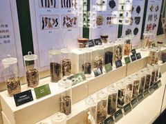 -广东中医药博物馆