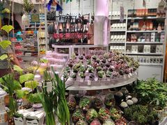 -KKV(深圳kk one 店)