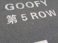 -迪士尼乐园停车场