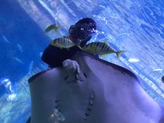 -北海海底世界