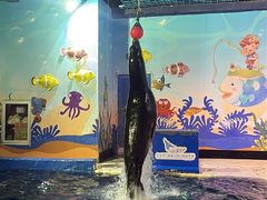 -太平洋海底世界