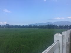-瑞穗牧场