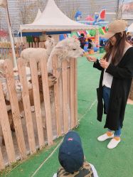 点击看大图 -萌宠亲子动物乐园(槐房万达店)