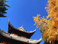 -龙华素斋(龙华路店)