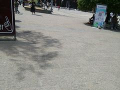 -祥源·阜阳生态乐园