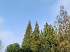 -东平国家森林公园
