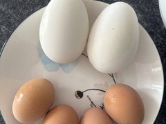 -东道煮牛肉火锅(重庆路店)