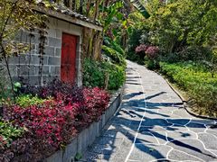 -腾冲洞山温泉村