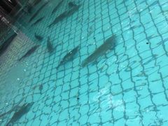 -天怡·鱼工厂(梅溪湖店)