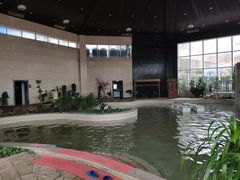 -徂徕山森林康养度假谷温泉