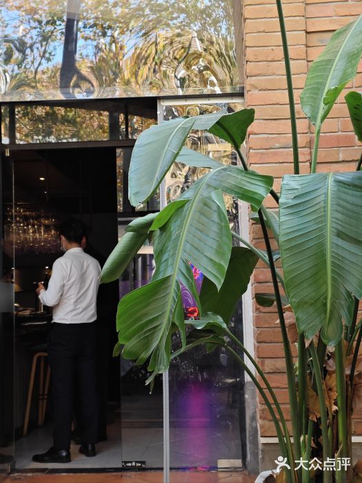 Solo(衡山路店)图片