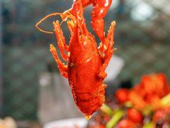 -红盔甲·小龙虾(人民广场店)