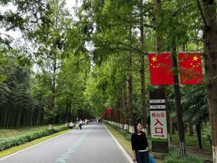 -黄海国家森林公园