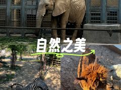 -太原动物园