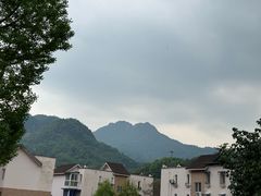 -四川省成都市彭州市白鹿镇