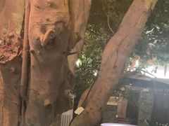 -云境生态园(红谷滩店)