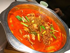 -宽口美蛙鱼头(大唐西市店)