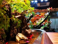 -森味薪火烧•烧鸟居酒屋•日本料理(望京店)