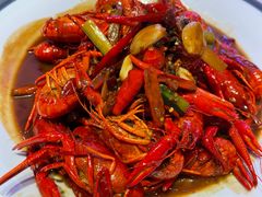 -杨氏青龙虾·羊蝎子(托乐嘉店)