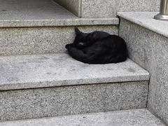-东方亚克西餐厅(西康路店)
