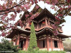 -西安青龙寺遗址景区