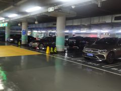 -国家大剧院-停车场