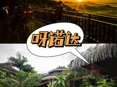 -亚马逊丛林水乐园