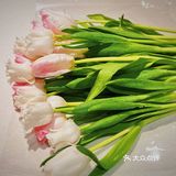 大良首家｜花艺咖啡店M Roser💐☕️