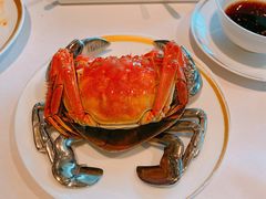 -金轩中餐厅 Jin Xuan(浦东丽思卡尔顿酒店)