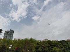 -荔香公园