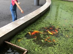 -锦江都城闵行饭店