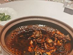 -华膳楼·安徽地标美食·中华餐饮名店(文化公园店)