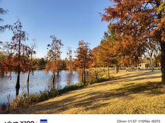 -上海长兴岛郊野公园