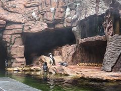 -长鹿旅游休博园