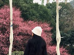 -中国茶叶博物馆(双峰馆区)