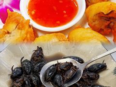 -美未居·老字号·地道顺德菜·桑拿鸡·鱼生(容桂店)