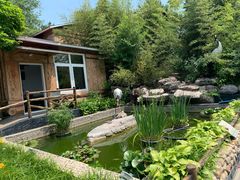-丽泽山庄·生态怀柔菜·虹鳟鱼(红螺寺店)