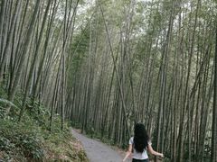 -千泷沟大瀑布旅游区