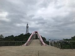-金鸡山公园