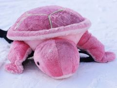 -蓟洲国际滑雪场