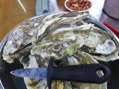 原只蒸生蚝-蚝得喜海鲜(东城店)