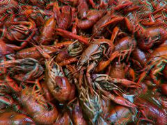 -兴芮温泉度假区