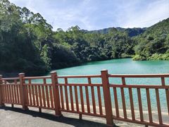 -佛山市三水区大南山森林公园