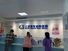 -北京观赏动物医院·24小时大型综合·猫专科·异宠专科