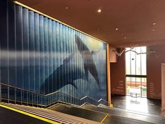 -阿露佳·舌尖上的安吉菜