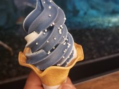 -大阪海游馆