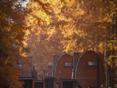 -黄海国家森林公园