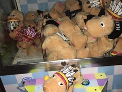 -金矿KTV(新会店)